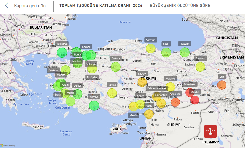 image Büyükşehirlerde İşgücüne Katılımda Yaşanan Değişim