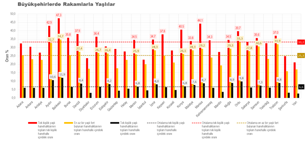 image-2-1024x476 Büyükşehirlerde Yaşlılık: İstatistikler ve Geleceğin Şehir Hayatı