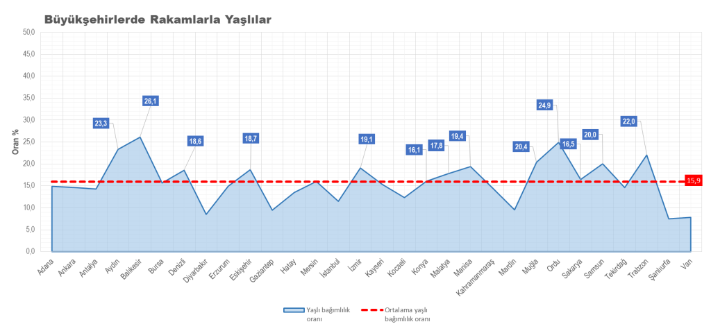 image-3-1024x477 Büyükşehirlerde Yaşlılık: İstatistikler ve Geleceğin Şehir Hayatı