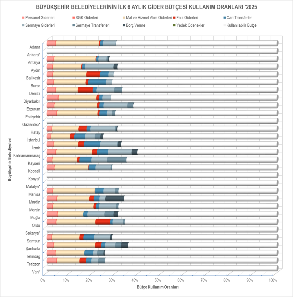 image-1013x1024 Büyükşehir Belediyeleri: 2025 Yılı İlk 6 Aylık Bütçe Analizi